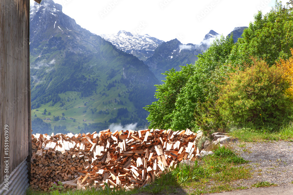 Fototapeta premium Stacked firewood next to a wooden house in the Swiss Alps on a sunny summer day.