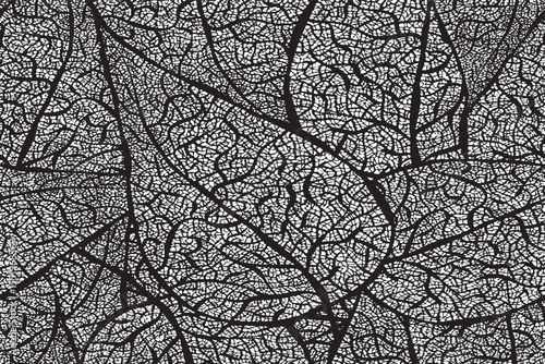Seamless Black and White Detailed Leaf Veins Pattern