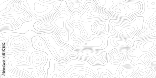 Abstract topographic map background. Topographic map lines contour background. 
