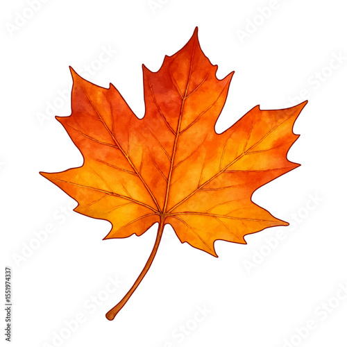 Bright watercolor maple leaf on transparent background, ideal for autumn-themed projects or print designs.