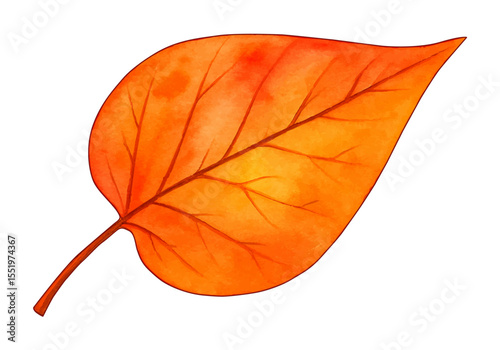 Vibrant autumn leaf illustration with transparent background, perfect for seasonal designs and cutouts.
