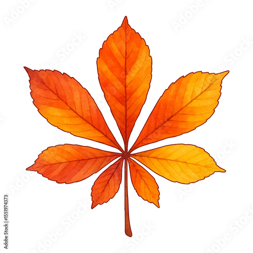 Hand-painted chestnut leaf cluster with a transparent background for seasonal or natural design use.