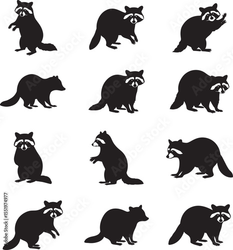 Collection of raccoon poses and actions in a simple black silhouette style