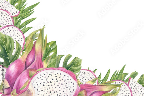 Pink dragon fruit, monstera and philodendron leaves horizontal watercolor frame isolated background. Exotic sweet pitahaya composition with space for text. For tropical invitations, food packaging