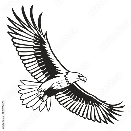 Black and white vector illustration of a powerful eagle soaring with spread wings