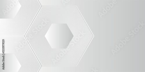 Modern Vector hexagon lines on gray background. Geometric stripe line abstract modern for banner and cover. EPS 10