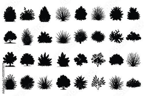 Collection of diverse black silhouette shrubs and trees isolated on white background