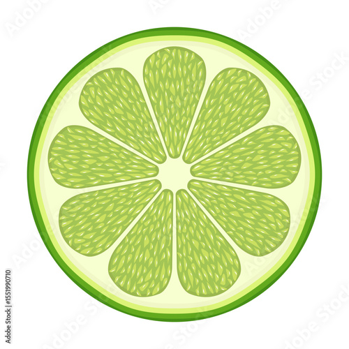 Fresh Lime Slice Vector Illustration. The lime is segmented into symmetrical sections with a juicy texture and light green pulp.