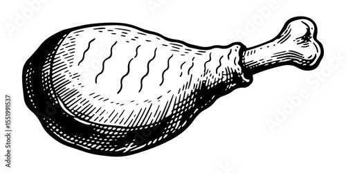 Chicken vector engraving style illustration