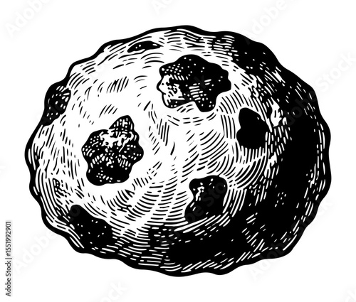 Meatball vector engraving style illustration