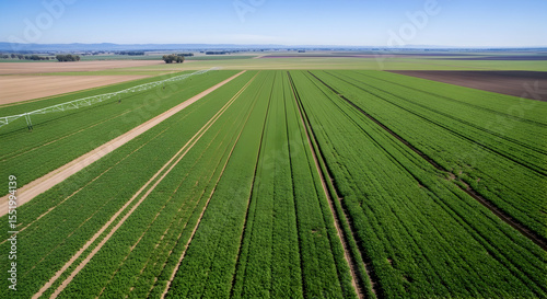 Vibrant Aerial View Of Rows Cultivated Crops On A Sunny Day