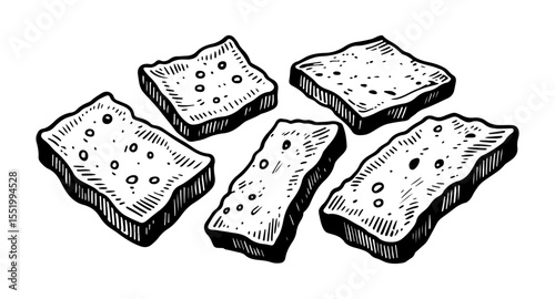 Tempeh vector engraving style illustration