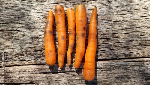 Old carrots on wooden background