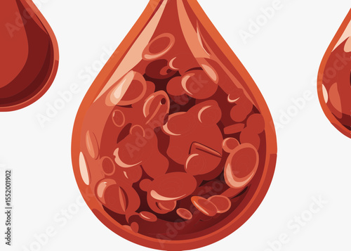 Blood drops illustration, educational medical image