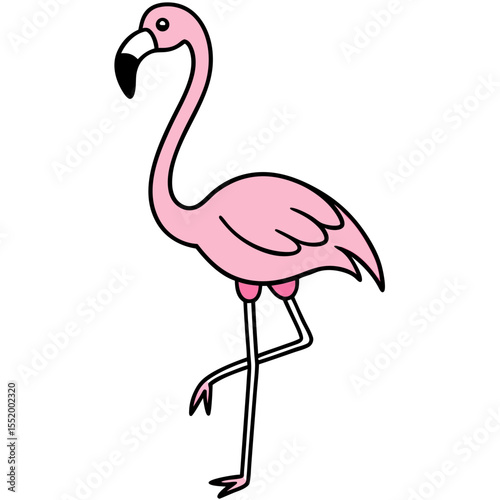 flamingo vector illustration