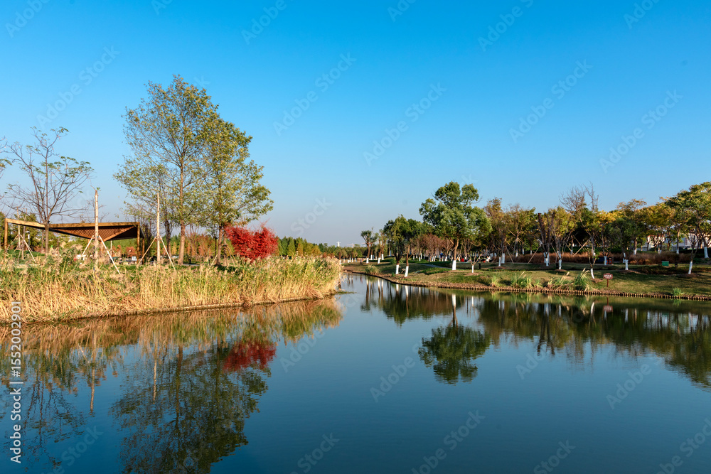 Obraz premium landscape with a lake and trees