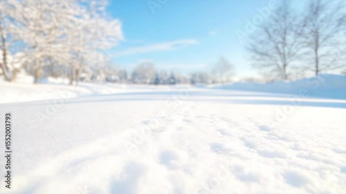 Wallpaper Mural Winter Wonderland: A tranquil winter scene with fresh snow covers the landscape and the sky is clear blue, creating a serene and peaceful atmosphere. Torontodigital.ca