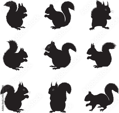 Collection of Squirrel Silhouettes in Various Poses 