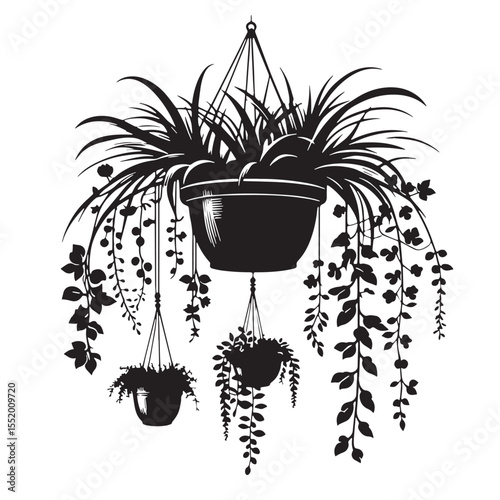 Black Hanging plant Silhouette Vector, High Quality Illustration on White Background