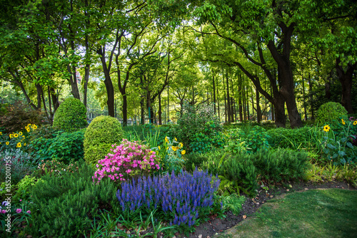 garden with flowers