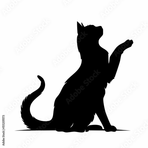 black cat silhouette