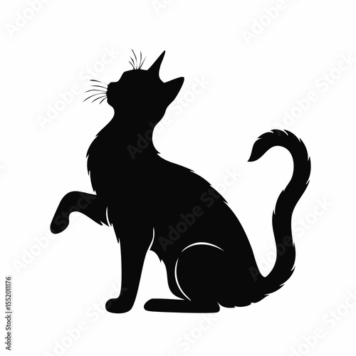 black cat vector illustration