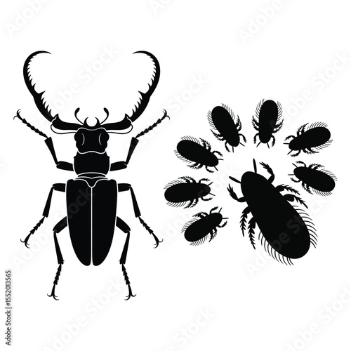 Stag Beetle and Parasites Black Silhouette Illustration