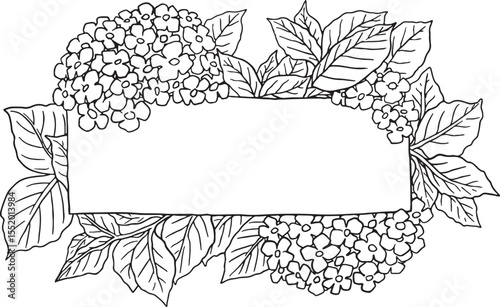Beautiful hand-drawn frame adorned with delicate hydrangea flowers and leaves, perfect for invitations, cards.