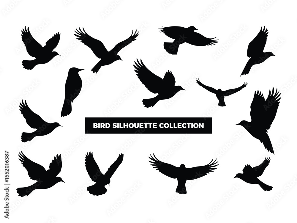 Fototapeta premium Vector Bird Silhouette Collection, Flying, Perching, and Soaring Birds for Graphic Design