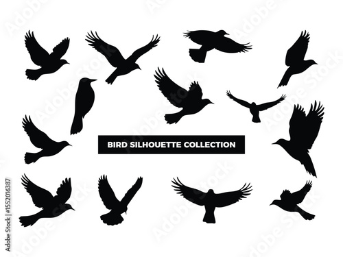 Vector Bird Silhouette Collection, Flying, Perching, and Soaring Birds for Graphic Design