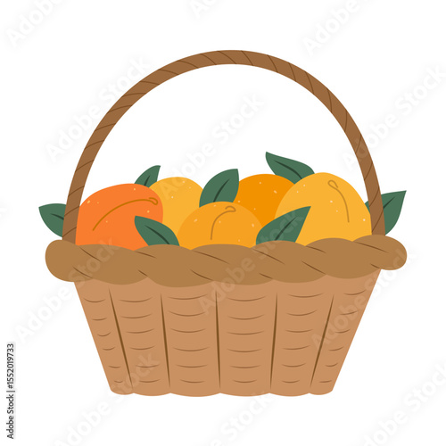 Isolated flat vector illustration of wicker basket with apricots on white background. Cottagecore lifestyle. Healthy food