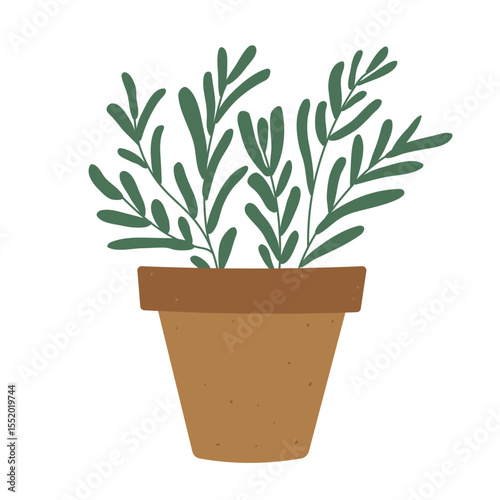 Isolated flat vector illustration of clay pot with rosemary on white background. Cottagecore lifestyle. Herbs and spices for the kitchen