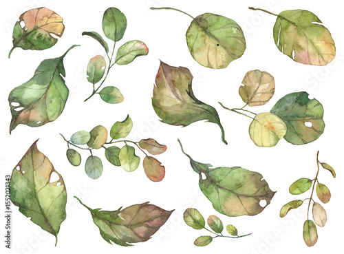 Hand painted watercolor botany - golden brown autumn leaves set. Various trees withered leaves, on white background. Aquarelle illustration