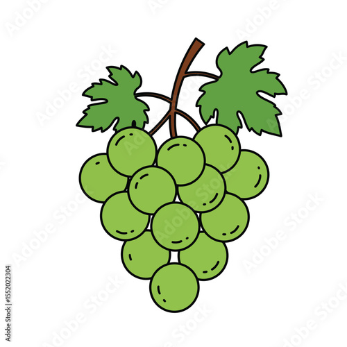 A sweet, juicy bunch of grapes on a vine with green leaves, perfect for wine or fresh fruit harvest, available as a vector illustration