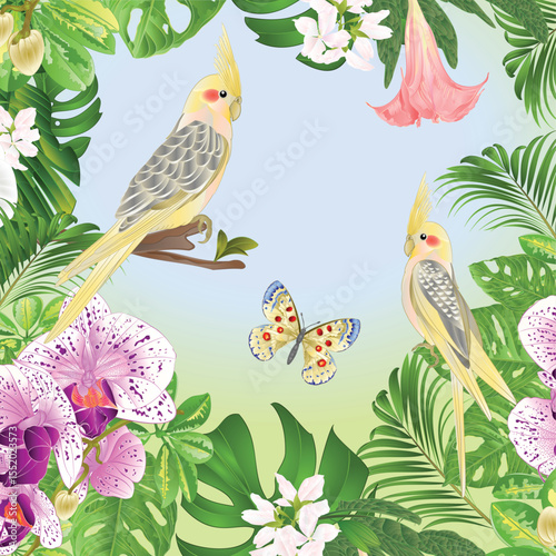 Cockatiels and butterfly with tropical plants watercolor vintage vector illustration editable hand drawing