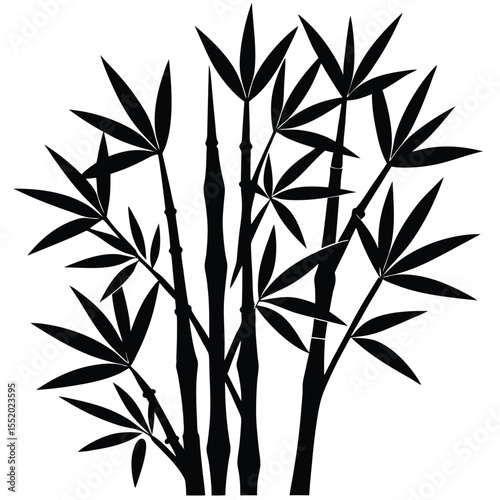 bamboo and leaves