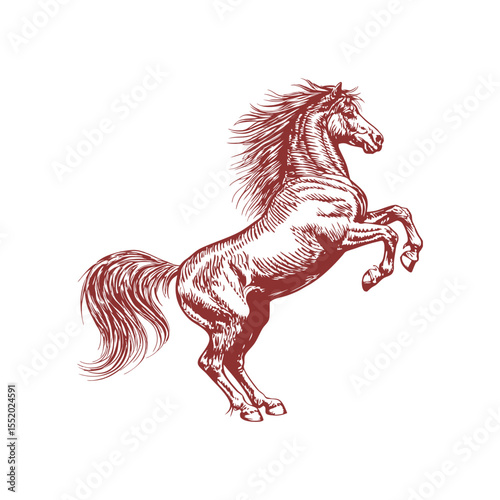 A sketch art of a horse running, showing the initial outline