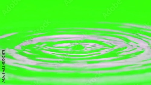 Slow Motion Water Ripples Forming Concentric Circles – Green Screen Loop
