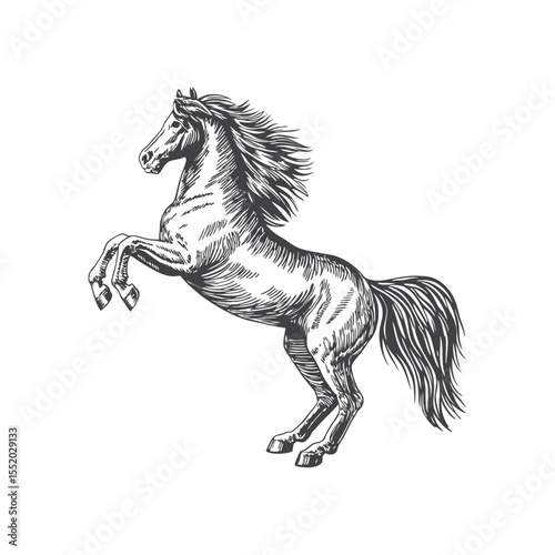 A sketch art of a horse running, showing the initial outline