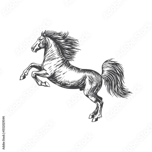 A sketch art of a horse running, showing the initial outline