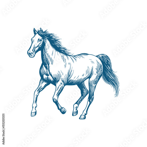 A sketch art of a horse running, showing the initial outline