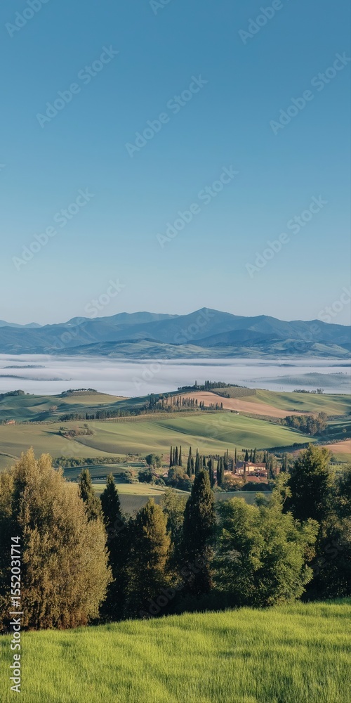 Naklejka premium A beautiful landscape with a foggy mountain in the background. The sky is clear and blue, and the trees are green