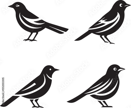 Silhouette set of oriole bird