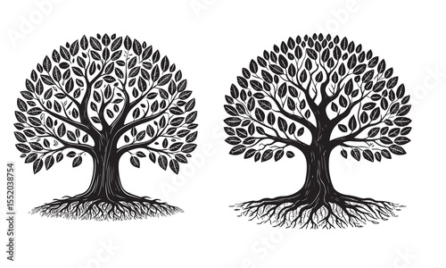 Two detailed illustrations of stylized trees with visible root systems on a white background