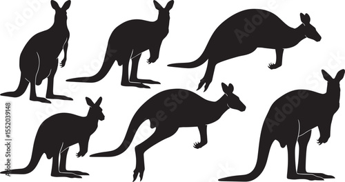 Collection of Kangaroo Silhouettes Vector Illustrations for Design Projects