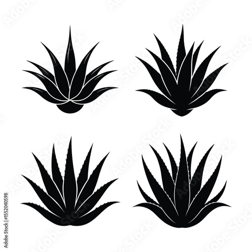 aloe vera bundle design 