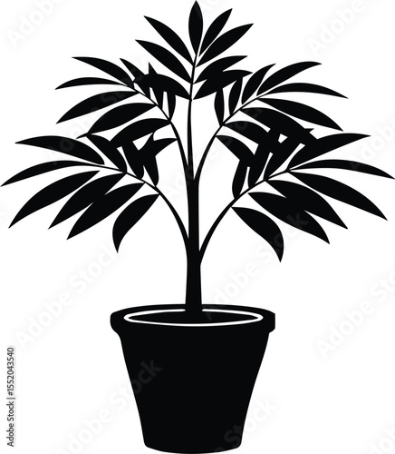 Black Potted Palm Plant Vector Indoor Silhouette Botanical Icon.