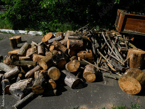 Various logs for firewood preparation.