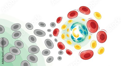 Immune System Activated Inflammation Process with Red and Yellow Blood Cells