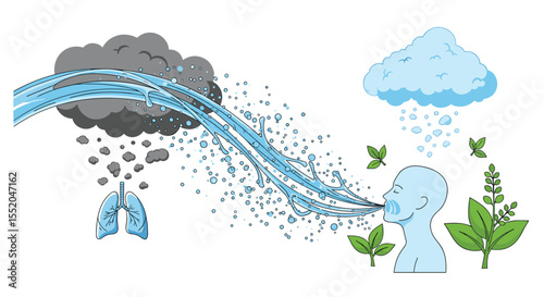 Air Pollution and Purification Process A Visualization of Health Impact